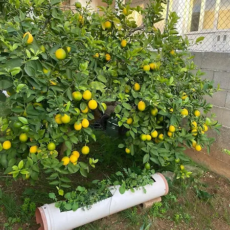 Modern Iva With Balcony, Free Parking & Wi-fi,