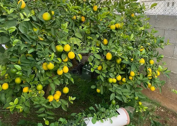 Modern Iva With Balcony, Free Parking & Wi-fi,